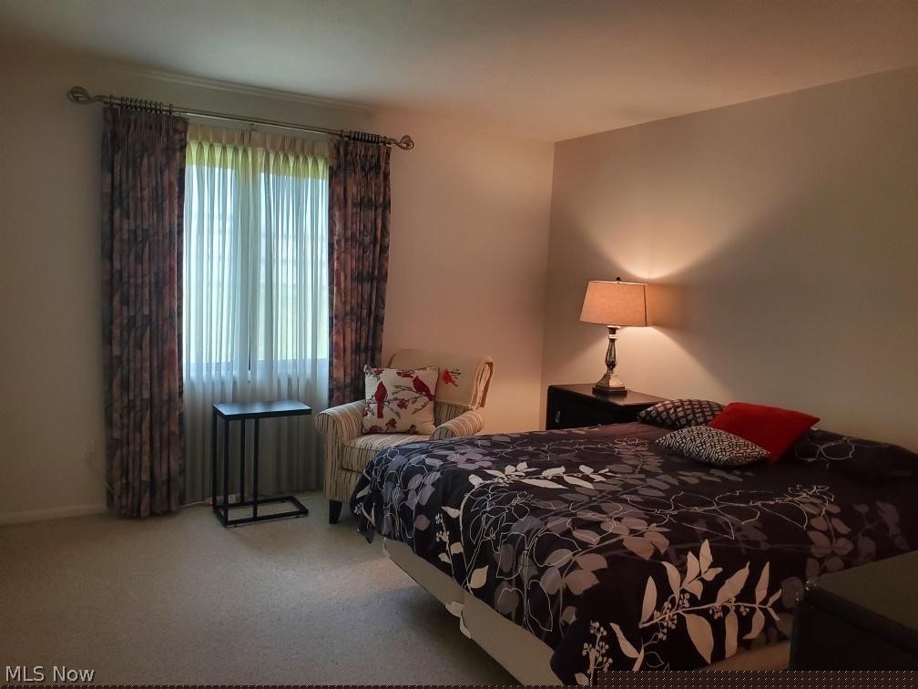 Pinewood Court Condos - Residential