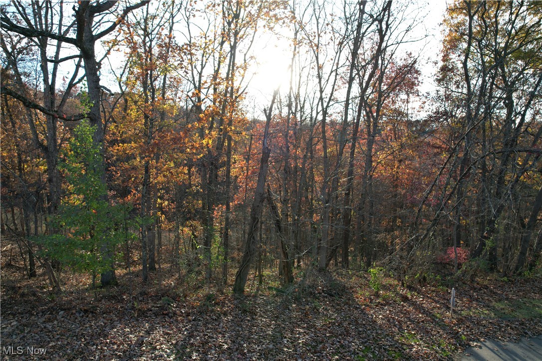 Woodhurst Heights Sub - Land