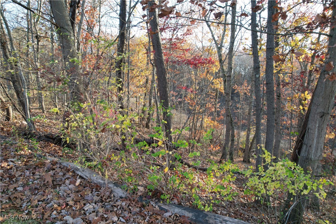 Woodhurst Heights Sub - Land