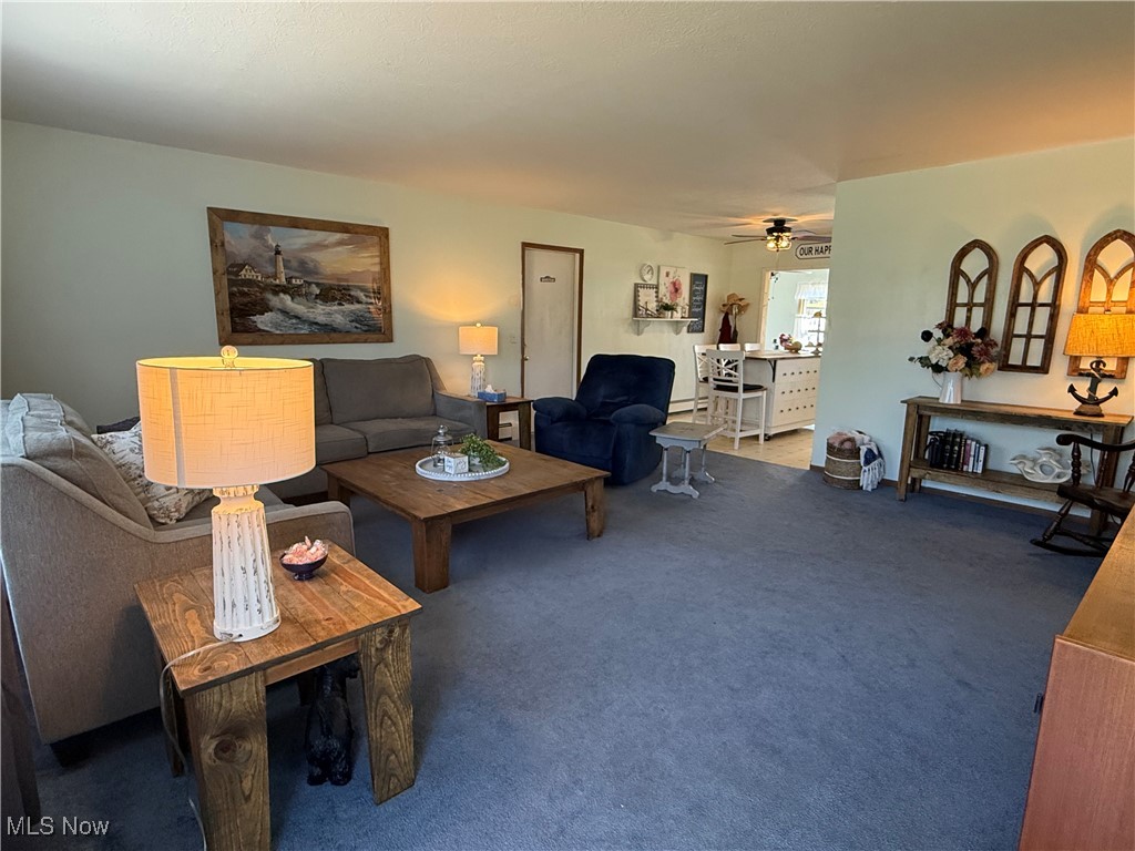 6694 Dave Drive, Madison, Ohio image 10