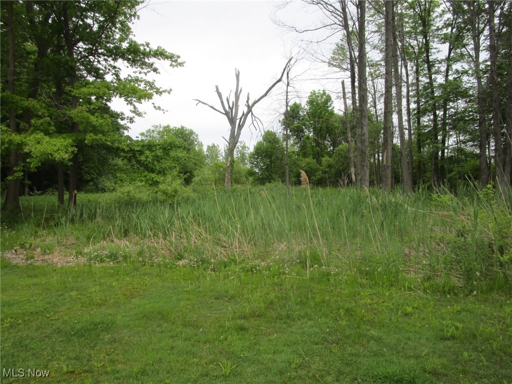 5153 New London Road, Geneva, Ohio image 41