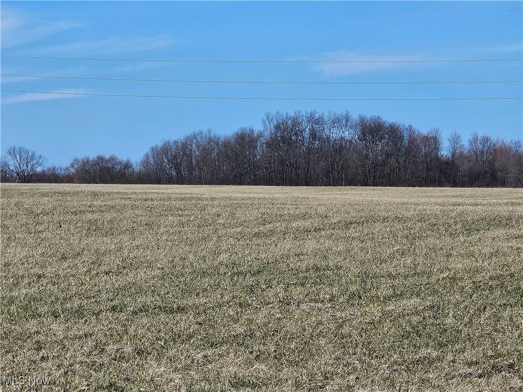 N Mt Eaton Road, Rittman, Ohio image 4