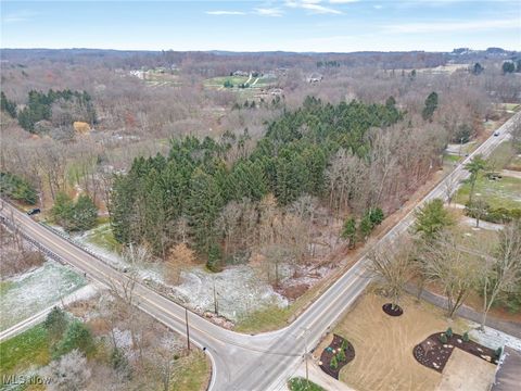 Vacant Land For Sale - High Mill Avenue<br/> Stark County, Clinton, OH 44216