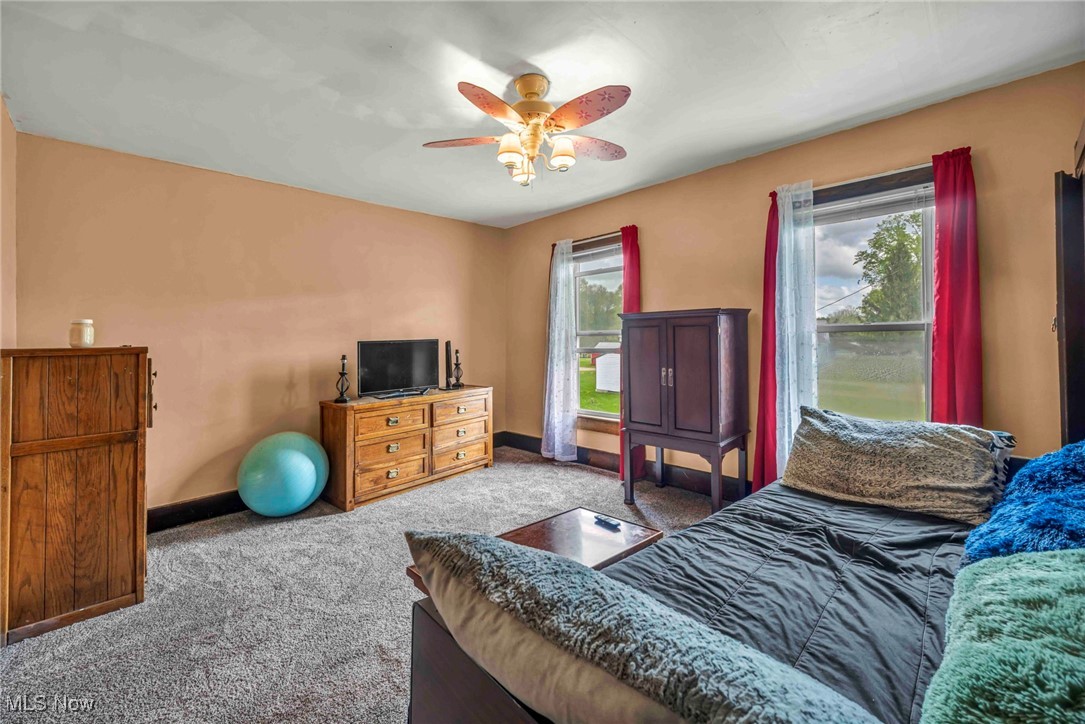 6873 Nichols Road, Windham, Ohio image 18