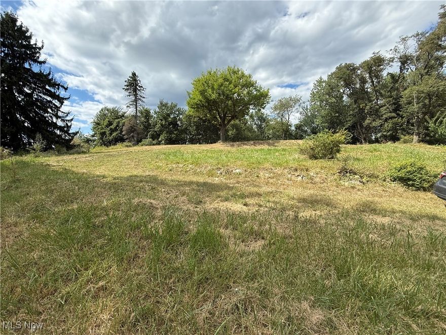 Discover the possibilities with this beautiful .94-acre property tucked away in the peaceful village of Flushing, Ohio. Surrounded by small-town charm and open skies, this blank canvas is ready for your vision—whether it’s building your dream home, starting a garden, or creating your own private retreat. Enjoy the quiet pace of life while still being within a short drive to St. Clairsville, Wheeling, and major routes.