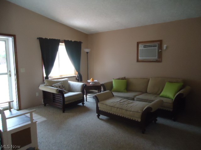 Acre Farms Allotment 01 - Residential