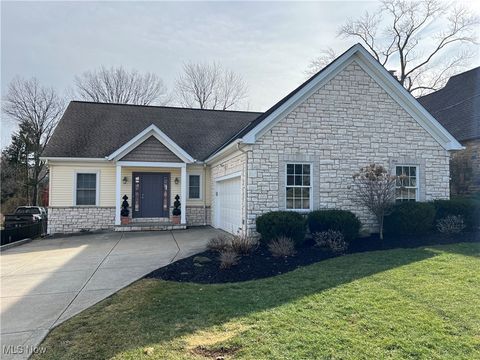 6333 Brecksville Road, Independence, OH 44131 - #: 5103131