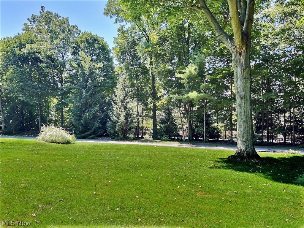 Newport Hanna - Land