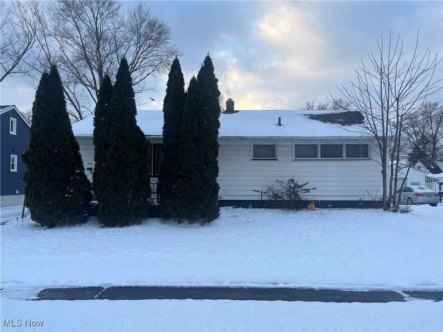 Check out 234 Bellfield Ave in Elyria, this well-maintained 3-bedroom, 1-bath residence presents a strong opportunity for both homeowners and investors. The home offers a partially finished basement equipped with a sump pump, enhancing durability and water protection. The kitchen features quality wood countertops, adding timeless appeal and functionality. Tenant occupied, the property delivers immediate rental income with minimal transition. An excellent option for those seeking a reliable, income-producing asset in a desirable residential setting.