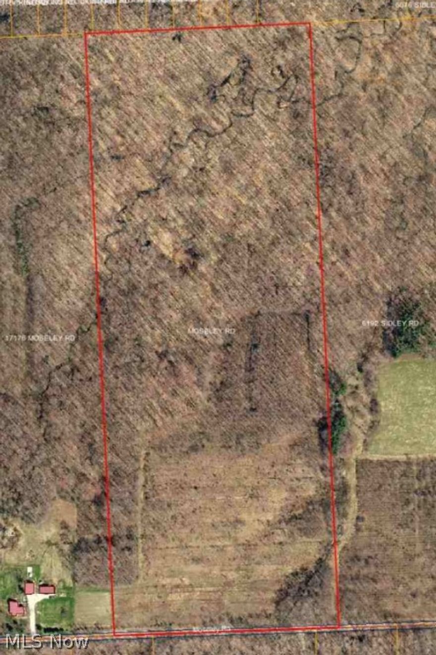 Priced to sell! 42 plus acres of mature trees. Property surveyed and ready for a split. Build your dream home and sell off the rest or hunt on the wildlife retreat. Possibilities are endless. Over 800 foot  frontage. Call Today!