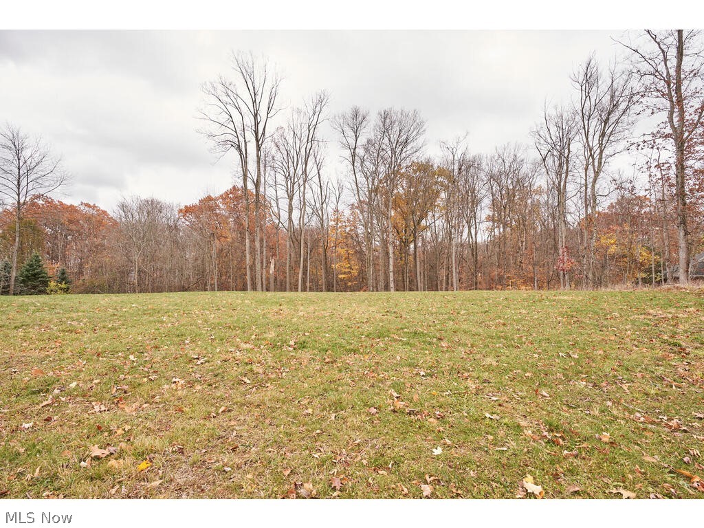 Firestone Trace Ph IV - Land