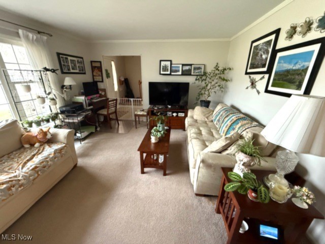 Overlook - Residential