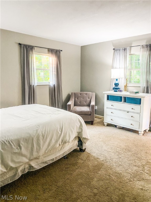 Woodland Park - Residential