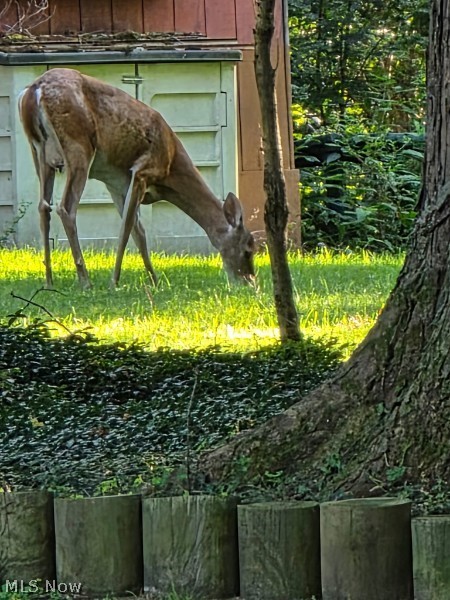 Luella O Scheids Sub Sec 4 - Residential