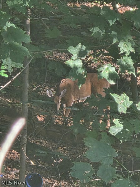 Luella O Scheids Sub Sec 4 - Residential