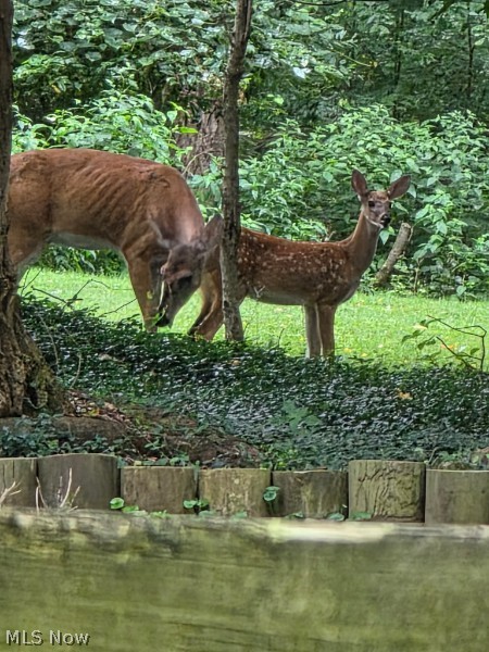 Luella O Scheids Sub Sec 4 - Residential