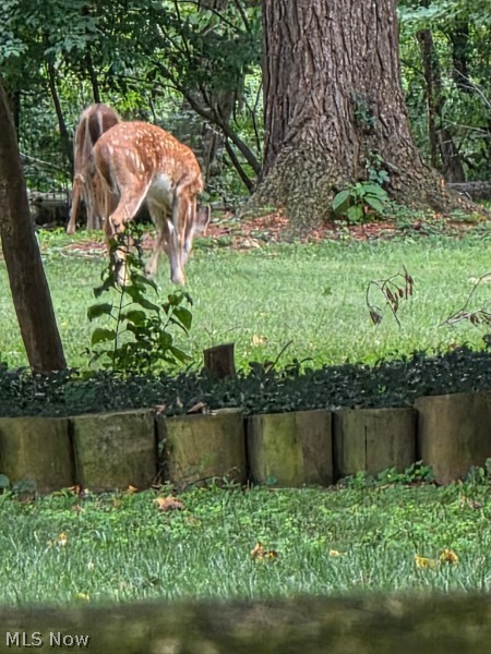 Luella O Scheids Sub Sec 4 - Residential