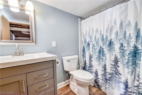 Tiny photo for 536 Independence Street, Fairport Harbor, OH 44077 (MLS # 5190028)