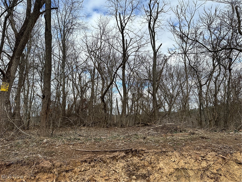 Fisher Ridge Rd, Tract 5, Fleming, Ohio image 3