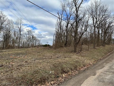 Vacant Land For Sale - Fisher Ridge Rd, Tract 5<br/> Fleming, OH 45729