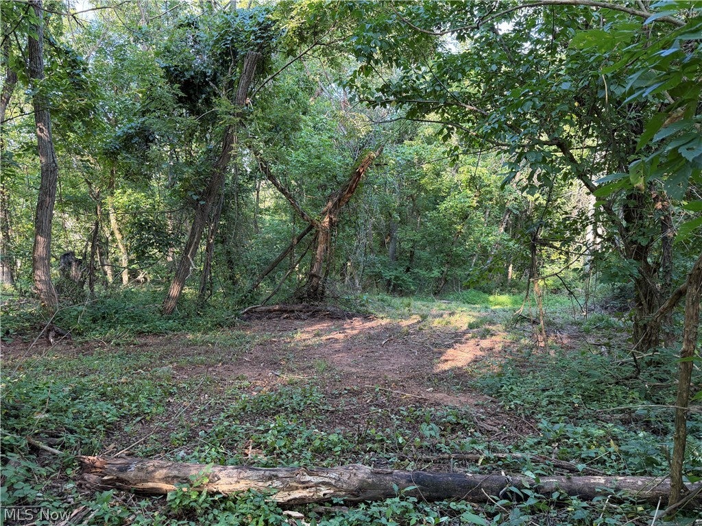 0 Fisher Ridge Rd, Tract 5