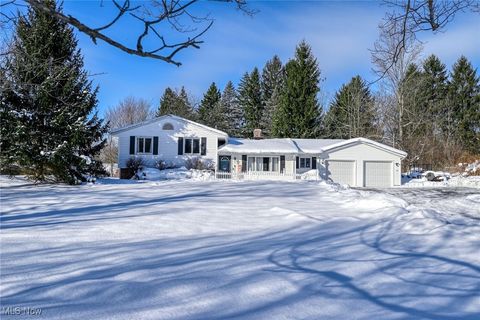12586 Woodside Drive Chesterland OH 44026