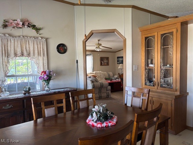 381 Golfway Drive, Painesville, Ohio image 7