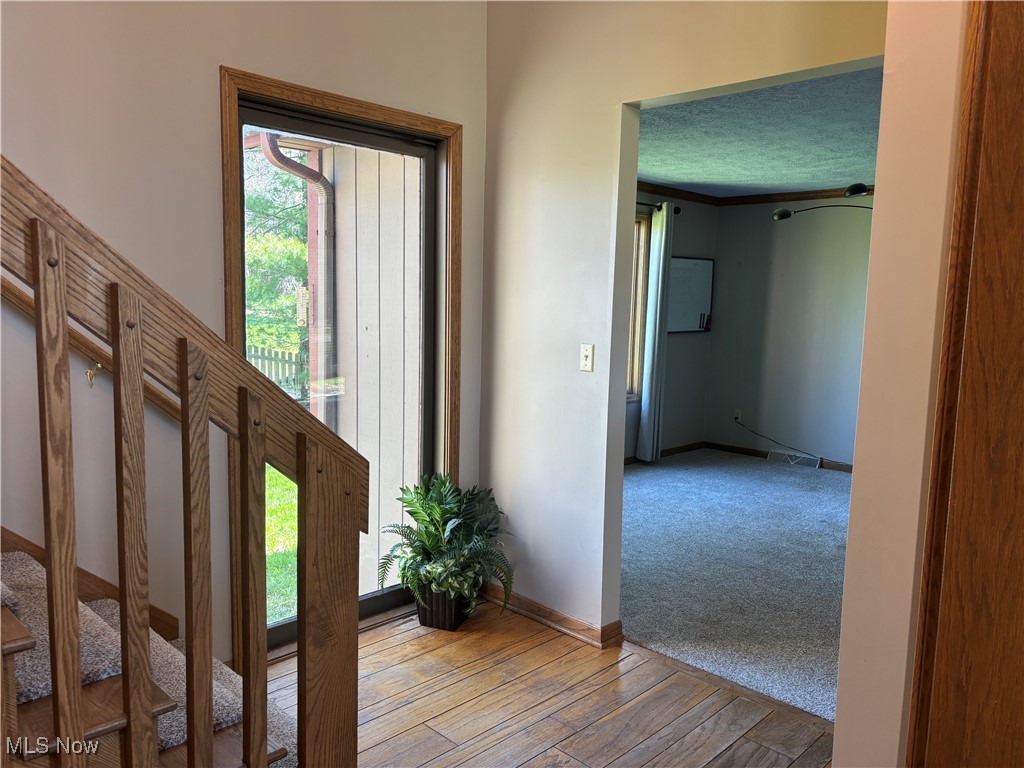 Wood Moor - Residential