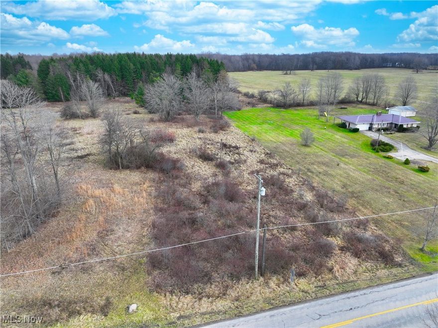 Don’t miss this incredible opportunity to own a spacious vacant lot ready for your dream home! This previously developed parcel once housed a residence that was burned down by fire department reason unknown. Well and septic system have been covered and locations are currently unknown. Buyers are encouraged to conduct their own due diligence regarding condition and location.