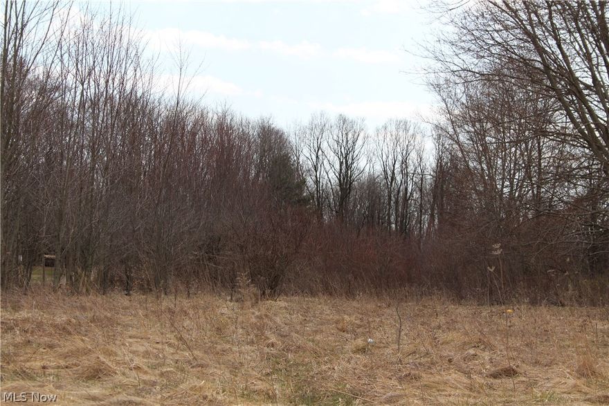 Build your dream home on this scenic, private lot.  One Acre gives you room to stretch out and enjoy the peaceful country with great access to interstates.  Water and Gas at the road.  Culvert and driveway are installed, but the driveway has grown over.  Ready for you to bring your builder and create your own piece of paradise!