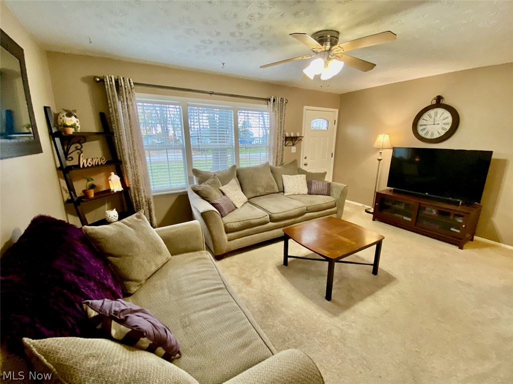 Willow Buff Farm 02 - Residential