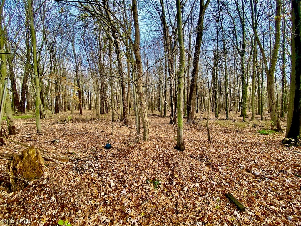 Willow Buff Farm 02 - Residential