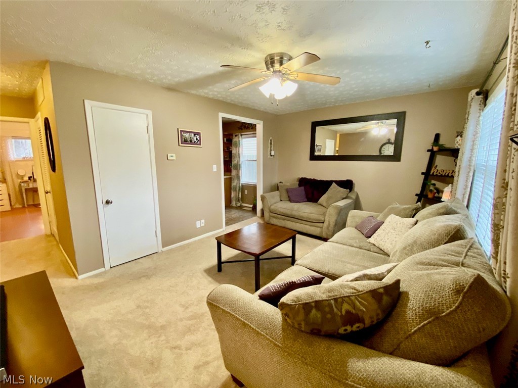 Willow Buff Farm 02 - Residential