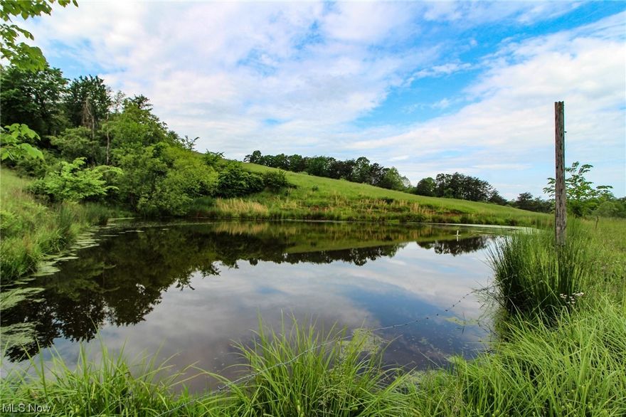112+/- acres in Wood County West Virginia. Great location only minutes away from Parkersburg and I-77. Located off a good paved road. A mix of woods & pasture. Some fencing is in place for livestock. Hay feeders. 3 nice ponds! Good trail system through the property. Recent select timber harvest. Older bank barn. Should be excellent hunting! Beautiful building sites! No G&O Rights & taxes TBD. Property can be split and less acreage purchased. Property can be split: Tract 1 54 acres $269,900 or Tract 2 58 acres $289,900.