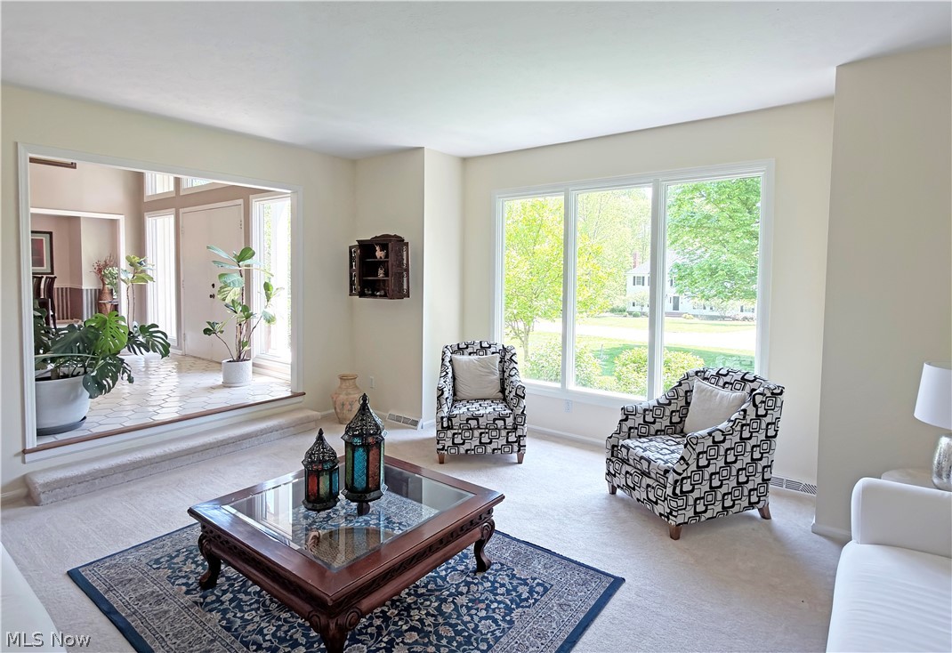 Scenic View Estate 1 - Residential
