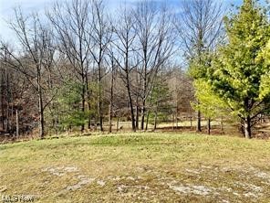 Brecksville - Residential Lease