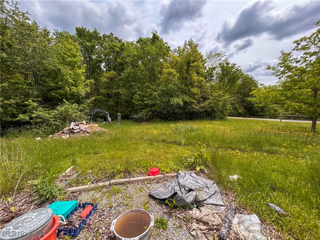 49722 Carmel Achor Road, Rogers, Ohio image 34