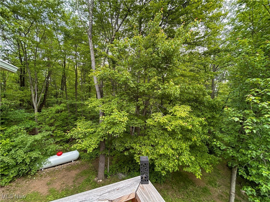 49722 Carmel Achor Road, Rogers, Ohio image 21