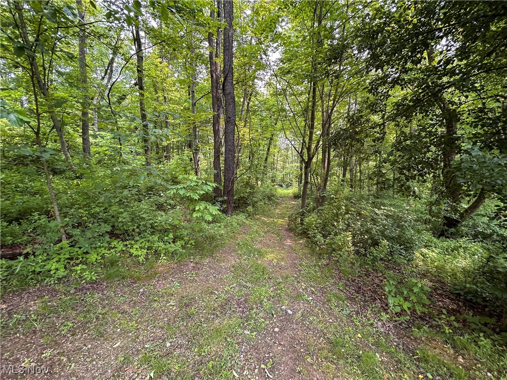 49722 Carmel Achor Road, Rogers, Ohio image 23