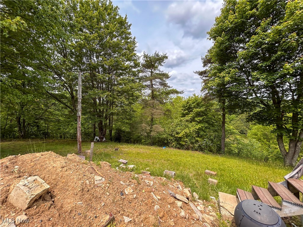 49722 Carmel Achor Road, Rogers, Ohio image 35
