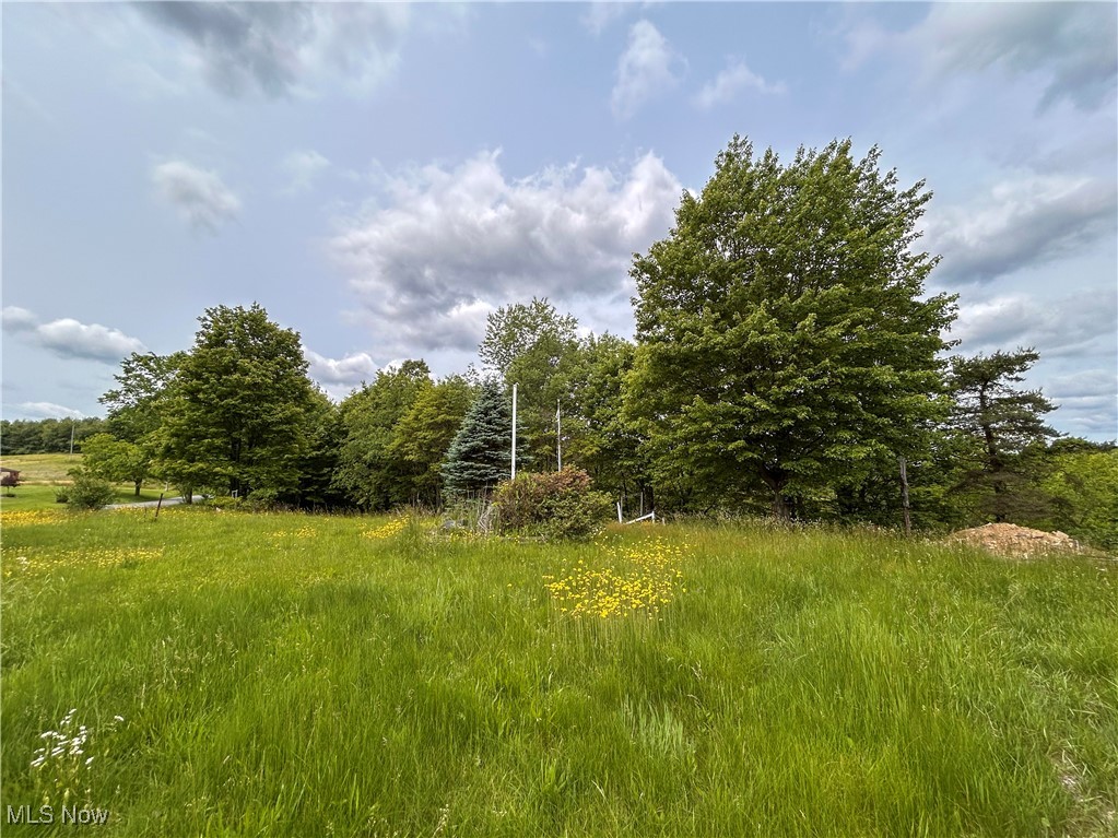 49722 Carmel Achor Road, Rogers, Ohio image 22
