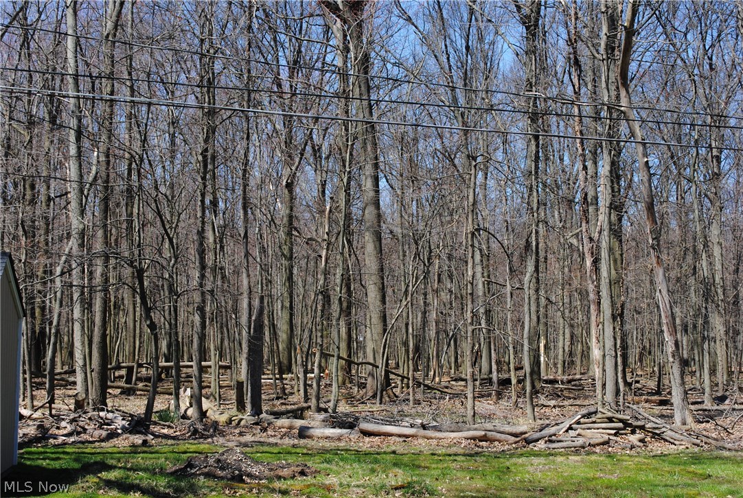 Avon Point Allotment - Residential