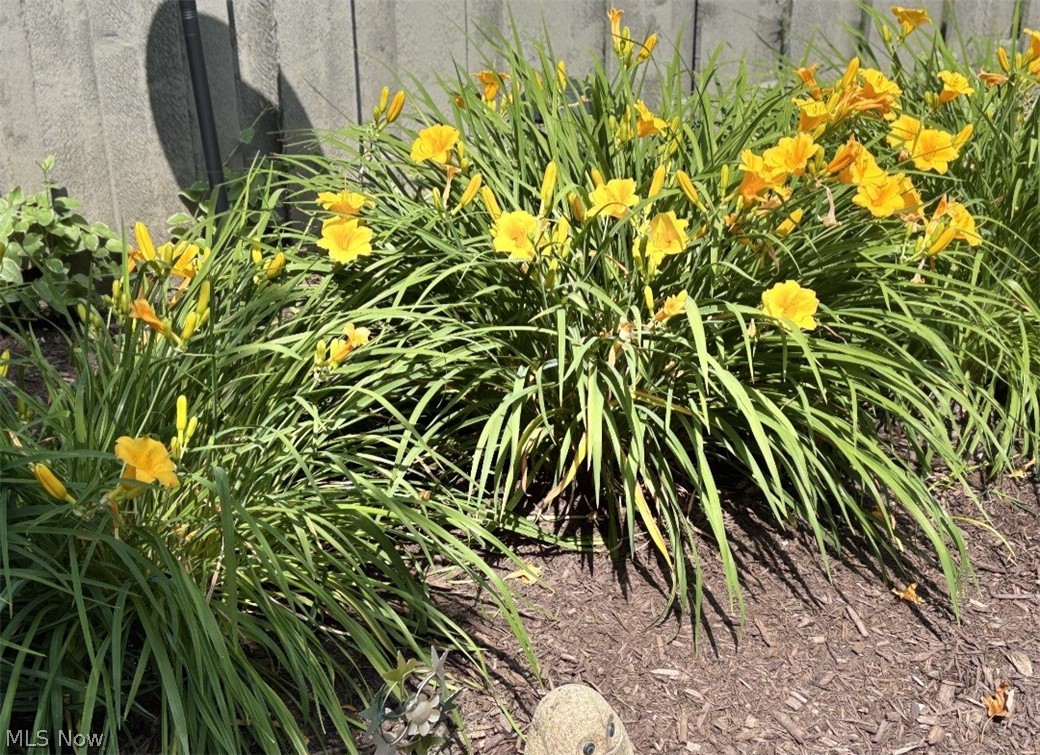 Sunwood - Residential