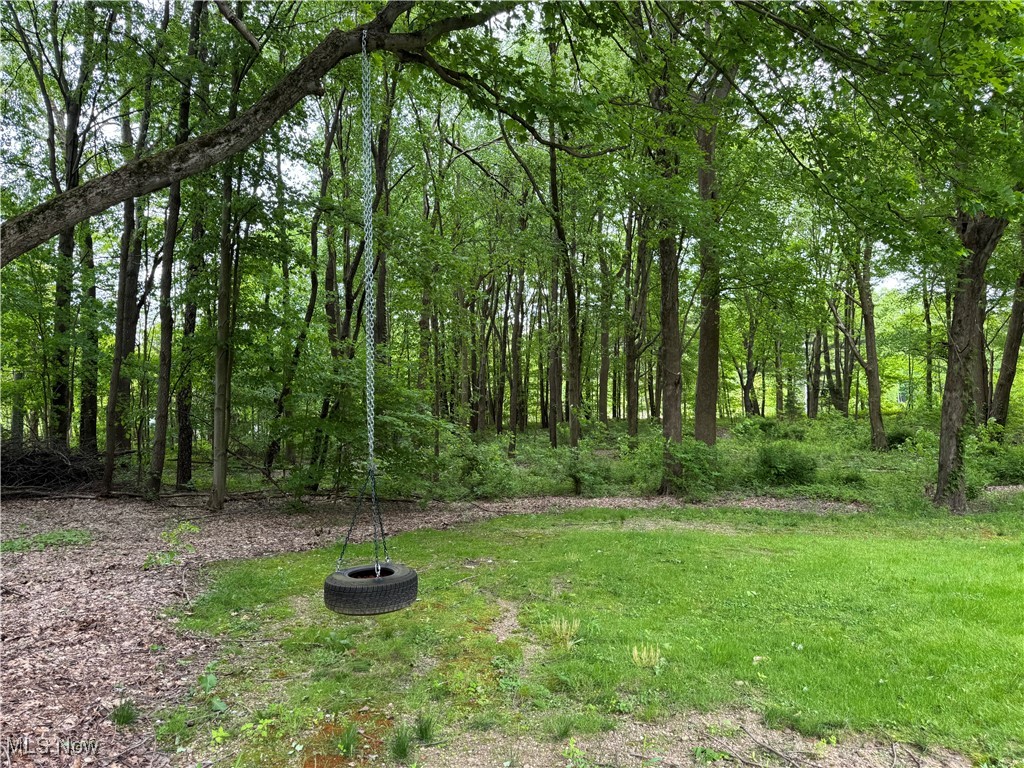 12710 Kinsman Road, Burton, Ohio image 42