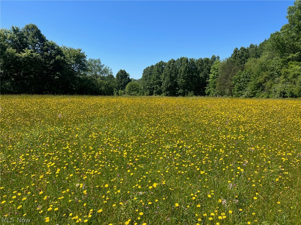 Tallmadge Road, Rootstown, Ohio image 2