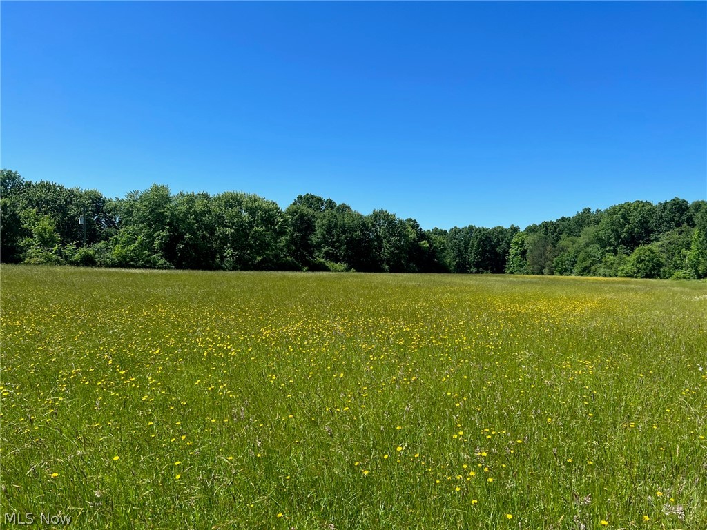 Tallmadge Road, Rootstown, Ohio image 3