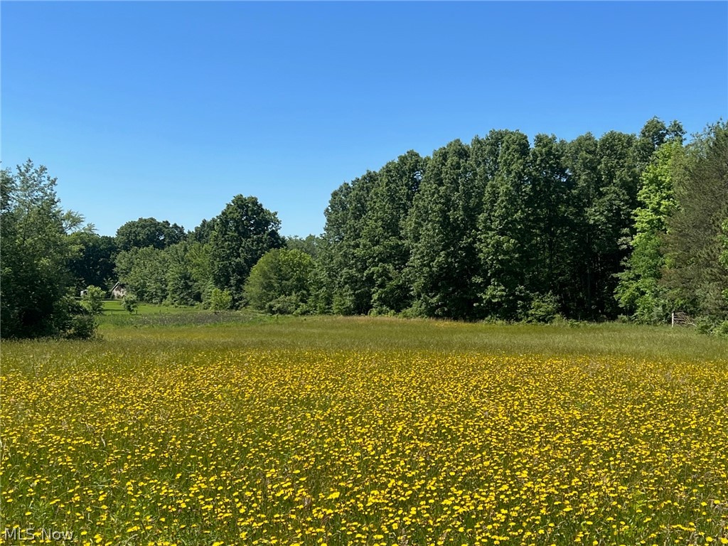 Tallmadge Road, Rootstown, Ohio image 1