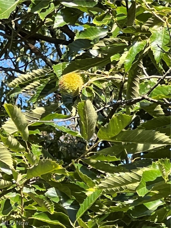 Newberry Sub - Residential