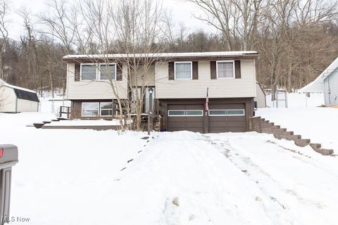 602 W Fernwood Avenue Toronto OH 43964