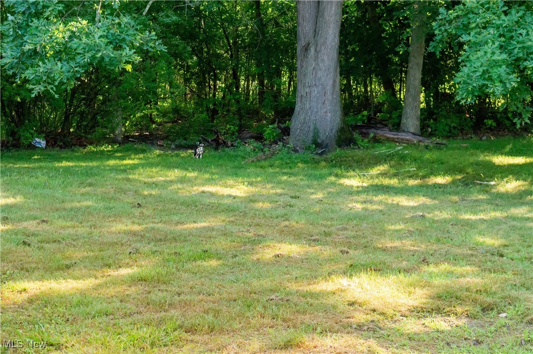 Palmyra Heights - Residential